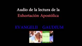 Audio de la Exhortación Apostólica EVANGELII GAUDIUM del Papa Francisco [upl. by Jeggar280]