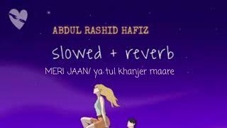 SLOWED AND REVERB Meri Jaan  Ya Tuli Khanjar Maare  Bhoomi 2023  Mithoon  Abdul Rashid [upl. by Agnes]