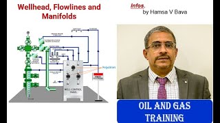 Wellhead Flowlines and Manifolds [upl. by Gardiner]