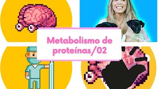 Metabolismo de proteínas02 [upl. by Laughton]