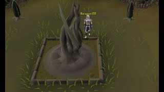 New Hespori Guide Seeds Boss Fight Drops OSRS [upl. by Humbert]