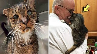 Vet Hugs Dying 15 year old Cat A Minute Later Something Totally Unexpected Happens [upl. by Yerdna]