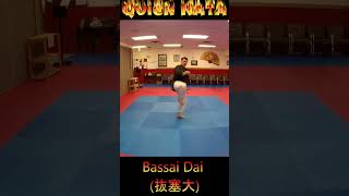 Kata Tutorial Bassai Dai karate karatekata bassaidai [upl. by Torruella]