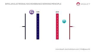 Bipolar Electrodialysis Membranes Working Principle in 1 min  DESALT by YASA ET [upl. by Ragen]