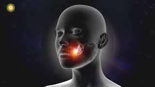 Healing Frequency  Binaural Beats  Teeth Frequency [upl. by Audri]