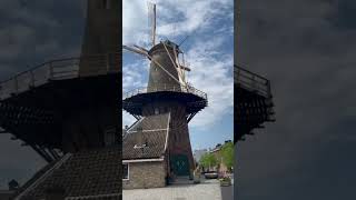 De Roos The Historic Windmill of Delft Netherlands [upl. by Marlee]