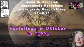 Portaltage im Oktober  10 Tipps wie du damit umgehen kannst [upl. by Lamee]