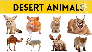 Name of desert animals in english with pictures  desert animals for kids  animals in the desert [upl. by Atirahc]