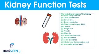 Kidney Function Tests and Interpretation of Results [upl. by Atikin]