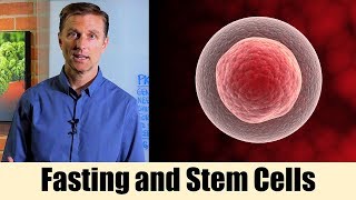 Using Fasting to Enhance Stem Cells – Dr Berg On Intermittent Fasting amp Cell Regeneration [upl. by Naahs]