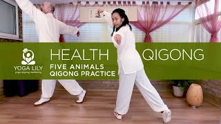 Five Animals Qigong Practice  Health Qigong [upl. by Sapienza862]