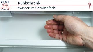 Kühlschrank  Wasser im Gemüsefach [upl. by Aelaza62]