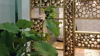 Bamboo decoration ideas [upl. by Gonyea]