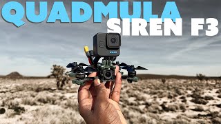 Quadmula Siren F3 [upl. by Quenby523]