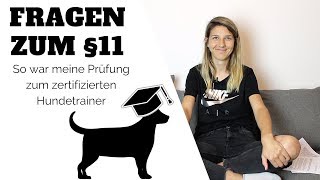 Sachkundenachweis für Hundetrainer  So war meine Prüfung zum Paragraph 11 [upl. by Rehtse781]