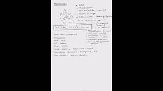 Plant Families  Morphology of Flowering Plants  Class 11th [upl. by Latnahc146]