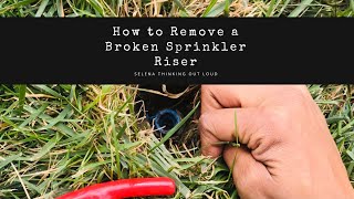 How to Remove a Broken Sprinkler Riser [upl. by Guthrie]