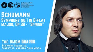 Schumann  Symphony no1 in Bflat major Op38  quotSpringquot [upl. by Yelehsa368]