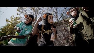 Ralfy The Plug x Kellz x Drakeo The Ruler  quotChunky Monkeyquot  Shot By  VOICE2HARD [upl. by Aelgna438]