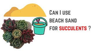 SUCCULENT FAQ 31  CAN I USE BEACH SAND FOR SUCCULENTS [upl. by Akemed]