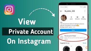 How to View Private Account on Instagram 2024 in 1Minute [upl. by Abie431]