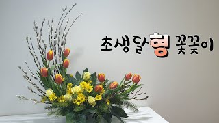 밍크버들과 튜울립으로 초생달형 성전꽃꽂이 [upl. by Akcira]