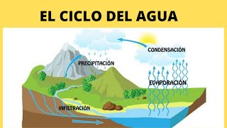 El CICLO DEL AGUA PARA NIÑOS 💧🌞 [upl. by Fulvi]