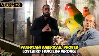 NSVlog Pakistani American Proves Lovebird Fanciers Wrong [upl. by Erfert]