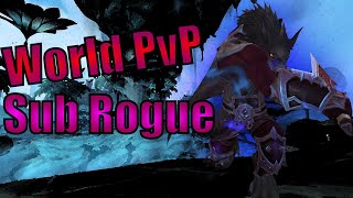 World PvP is Back  Subtlety Rogue Shadowlands [upl. by Chic]