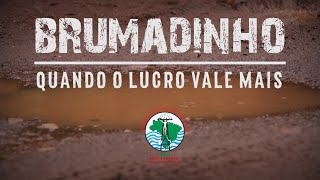 Brumadinho Quando o Lucro Vale Mais [upl. by Ludmilla]