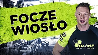 Ćwiczenie Focze wiosło  Atlas ćwiczeń  Michał Wrzosek by Olimp Sport Nutrition [upl. by Lednahc]