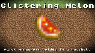 Minecraft  Glistering Melon Recipe Item ID Information 162 outdated [upl. by Sheng359]