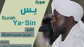 Surah Yasin  Heart Touching  Sheikh Noreen Muhammad Siddique [upl. by Esinwahs]