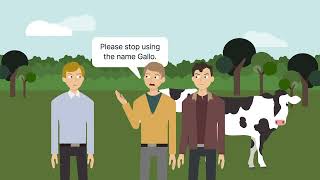 EampJ Gallo Winery v Gallo Cattle Company Case Brief Summary  Law Case Explained [upl. by Juieta]