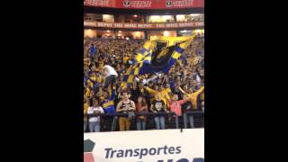 La Copa Libertadores es mi obsesión 8  Tigres 21 Toluca Cancha [upl. by Adnilab920]