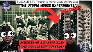 WOW THE quotPROJECTSquot A GOVERNMENT PLAN Universe 25 Reaction [upl. by Arinaid]