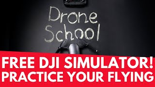 DJI Virtual Flight Simulator Demo  How To Setup Controller amp Goggles [upl. by Ahsimik605]