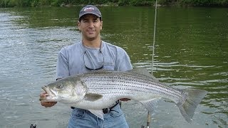 FISHING for STRIPERSROCKFISHTidal Potomac River Fishing [upl. by Ireland]