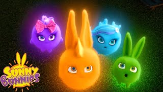 SUNNY BUNNIES  A Glowing Adventure  Season 1  Cartoons for Children [upl. by Anyr]