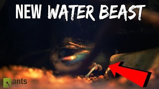 Ants vs New Water Beast quotKrakenquot [upl. by Ardnekal]