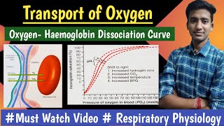 Transport of Oxygen  Oxygen Haemoglobin Dissociation Curve Respiratory Physio hindi Ashish [upl. by Wsan]