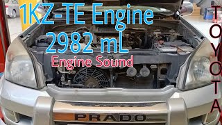 1KZTE 30L Engine Starting And Sound Of Toyota Prado [upl. by Yojal]