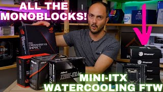 The best Monoblocks for your MINIITX WaterCooled PC from EK and Bitspower [upl. by Cavallaro]