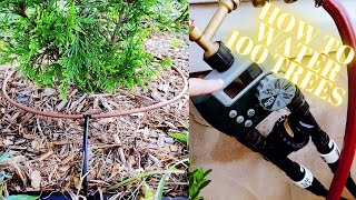 DIY Drip Irrigation System For Trees  Easy How To Installation Guide For Tree Watering [upl. by Nerrej810]