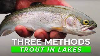 TOP 3 Trout Fishing Tactics For Lakes amp Ponds IN DEPTH HOW TO [upl. by Nestor]