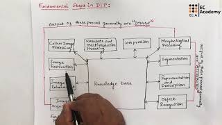 DIP3 Fundamental steps in Digital image processing  EC Academy [upl. by Axela]