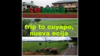 Colosboa Cuyapo Nueva Ecija The New Zealand of the Philippines ColosboaCNE NewZealandPhils [upl. by Pulling]