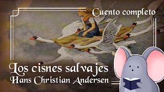 Los Cisnes Salvajes de Hans Christian Andersen  Rincón de Lectura  Ratón de Biblioteca [upl. by Lasorella569]