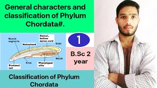 General characters and classification of Phylum Chordata  BSc 3rd Year Zoology 5th Sem 2nd paper [upl. by Ninnetta177]