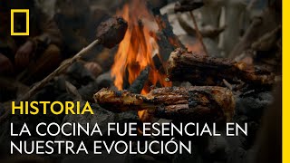 Por qué la cocina fue esencial en nuestra evolución  NATIONAL GEOGRAPHIC ESPAÑA [upl. by Hamner]